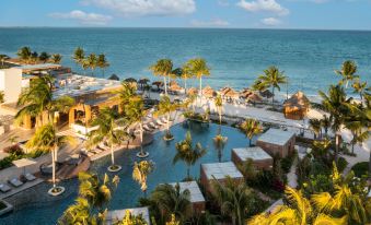 a resort with a large pool surrounded by palm trees and lounge chairs , overlooking the ocean at Fairmont Mayakoba