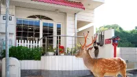 Hotel Cotton 100% Hotels in 