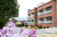 Samcheok Yongjeong Pension - 膳食民宿