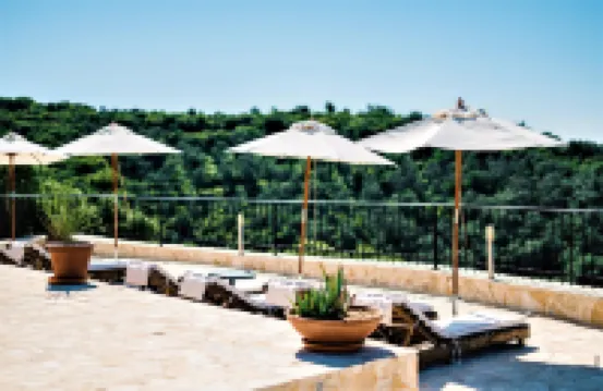 Holiday Park Olive Tree