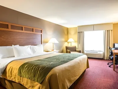 Comfort Inn