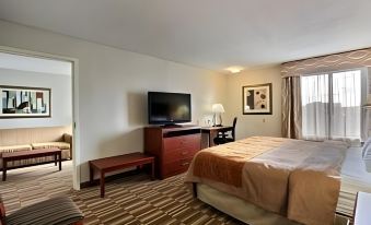 Comfort Inn & Suites University South