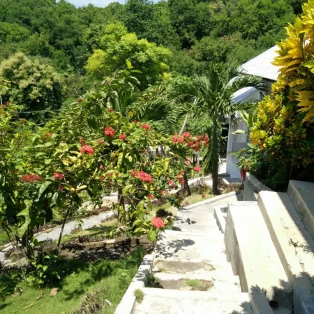 CF Komodo Hotel