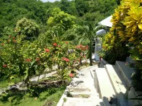 CF Komodo Hotel - View biển