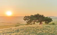 Weingut Pasler Hotels in 