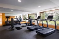 Four Points by Sheraton Bansko - Gym