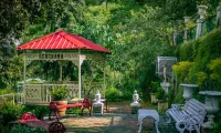Seclude Ramgarh Taradale Hotels in Ramgarh