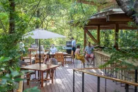 Rio Perdido Hotel & Thermal River - bar