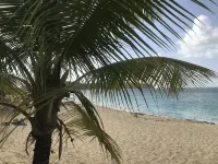 Mini Private Discovery Cruise