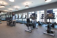 コートヤード バイ マリオット ラピッド シティ