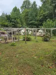 Medieval Nights yurts