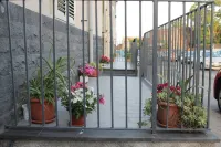 Carlotta & Giorgia's houses - HOUSE SUN