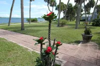 Fishing Cottage on the Indian River Lagoon 2 miles from the Ft Pierce Inlet