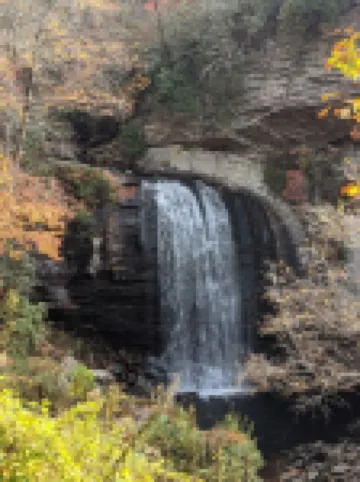 Bracken Bungalow - Cozy retreat a short stroll from downtown Brevard