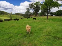 Be amongst nature in the 1890s farmhouse - a time you will never forget. Hotels in Gloucester