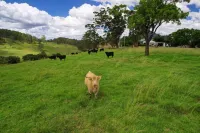 Be amongst nature in the 1890s farmhouse - a time you will never forget.