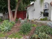 Clean Private Bedroom,Bathroom. Private entrance. Lovely Gated Neighborhood. Hoteles en Vista