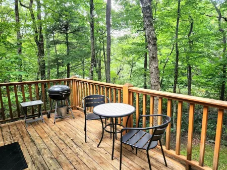 3-bedroom, King Beds, Dog-friendly, Skiing, Blowing Rock, Tweetsie, Boone, ASU