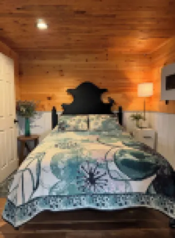 SILVER LAKE STUDIO - Located on Silver Lake & 9 miles from Letchworth State Park