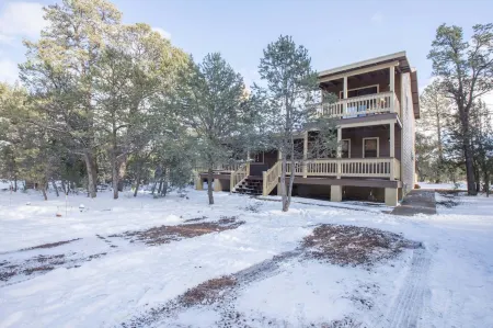 Dogs welcome - Gorgeous, Spacious Cabin in the Pines