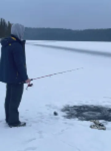 Lakefront Northwoods Winter/Summer Wonderland Updated 3 Bedroom House Sleeps 8 艾昂縣住宿飯店