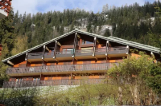 Very well appointed Apartment in Chatel , very convenient for shops ,restaurants