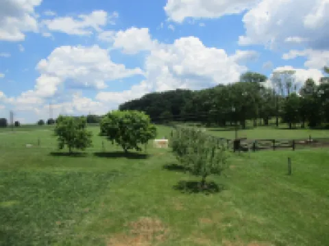 Black Horse  - FarmGuest House A Travelers Rest and a Vacationers Haven