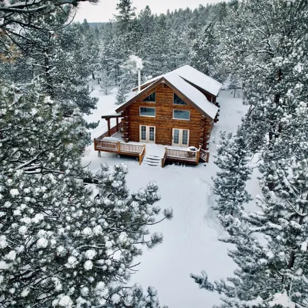 Custom log cabin tucked away in private forest
