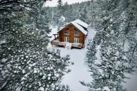 Custom log cabin tucked away in private forest