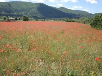 Cottage rental at the foot of Mont Ventoux surrounded by lavender in Sault en Provence Hotels in Sault