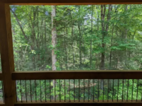 Romantic Cabin for 2, Hot Tub, wifi 10min from BR, hiking and waterfalls near