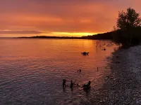 Bluewater Cottage on Lake Michigan !! Hotels in Charlevoix County