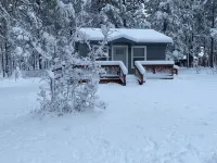 Cozy and quiet Cabin in the Woods