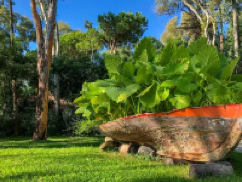 Arbatax Park Resort - Dune Hotels in Arbatax