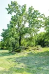 Charming 2-Bedroom Cottage in Loudoun Co, VA on 12 Gorgeous Acres w/ 2-Acre Pond