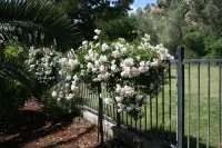 Center model of lux triplex with kaweah river running by property. فنادق في ثري ريفرز