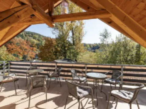 Apartment in a top location with sauna and roof lounge for families and active vacationers Hotels in Waltersdorf