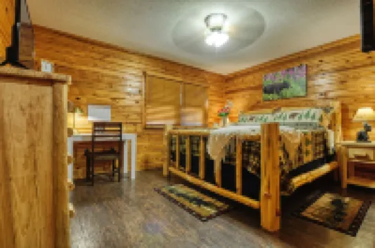 Cabin in the Smokies, 30-mins away from Gatlinburg & Pigeon Forge- Pet friendly