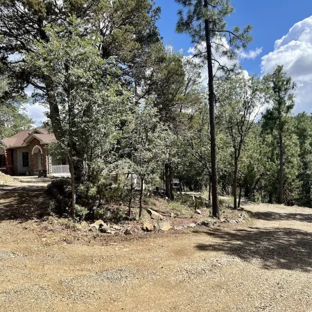 Forest Home-Panoramic Pine Views/Arcade/Spa/Games