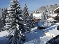 3P 55 m2 apartment in a luxury chalet. Very close to the lifts.