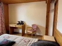 Chalet 15 people in the village center - Chatel Reservation