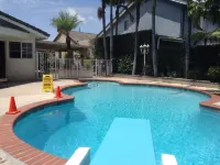 Pembrooke private House, 1000 sqft private Pool, Quiet and comfortable. - مسبح خاص
