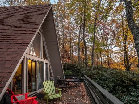 🌲Roaring Fork Chalet: MTN View, Hiking, Waterfalls, Trails - Dog Friendly!🐕‍🦺