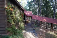 Mt Ashland Homestead, Ashland 10m, 40 ridgetop acres old forest, right by PCT Hotels near Fish Lake