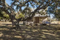 Voted Most Romantic! 1800's Peach Cabin/Close to Downtown/Hot Tub/Peaceful!