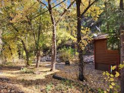 Kohl's Ranch Creekside Cabin / Fishing, Hiking, Swimming - Adventure Awaits!