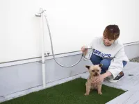 Pet Resort Villa MOU - 3星級