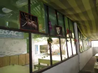 Anilao Scuba Dive Center (Asdc)