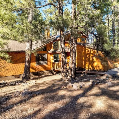 Pinewood Lodge / Backs to Forest / Near Downtown!