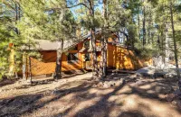 Pinewood Lodge / Backs to Forest / Near Downtown!